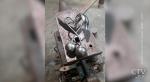 «Хорошее дело»: в память о жертвах трагедии в Кемерово белорусские мастера выковали вишни