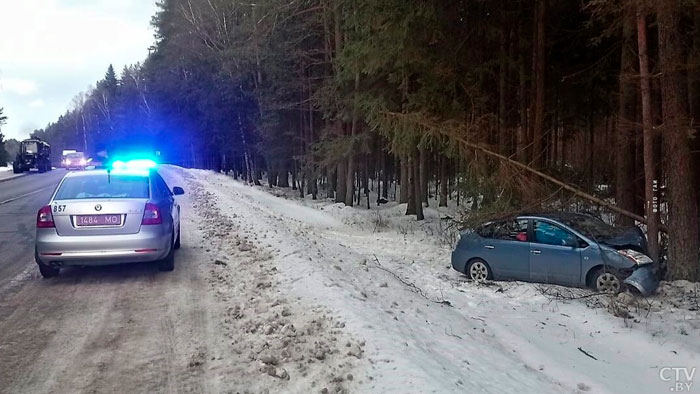 Под Логойском 53-летняя женщина за рулём Toyota врезалась в дерево-1