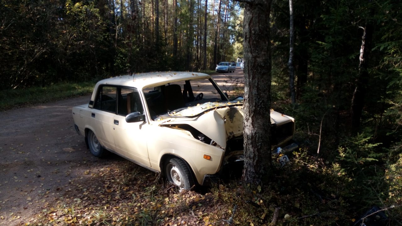 В Городокском районе автомобиль «ВАЗ» врезался в придорожное дерево