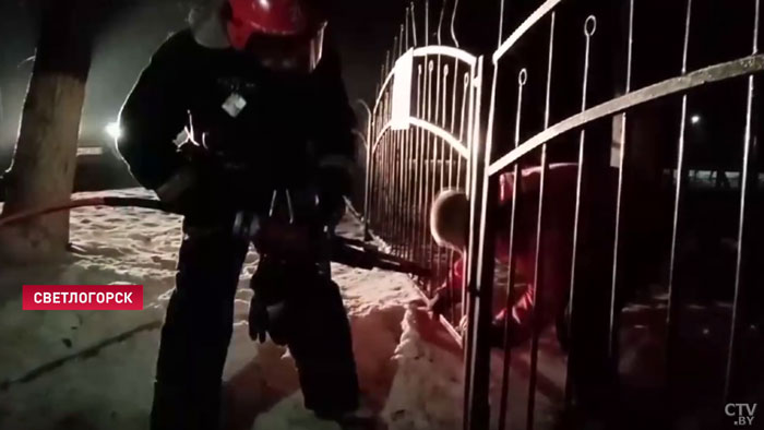 Житель Светлогорска застрял головой в металлическом заборе. Понадобилась помощь спасателей-4