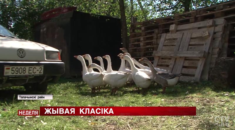 «Сама вяртаюся ў маё бесклапотнае дзяцінства». Правялі адзін дзень з удзельніцай конкурсу «Жывая класіка» Вікторыяй Піліпенак -4