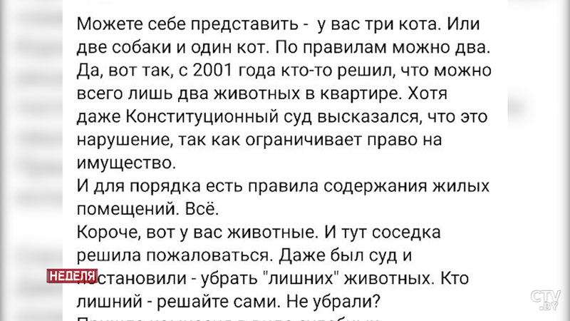 Как кошка с собакой. Если в квартире больше двух животных, чем это грозит хозяину? -7