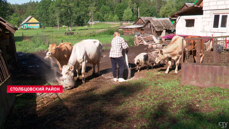 Ведёт хозяйство в деревне и блог в соцсетях. Посмотрели, как живёт девушка-блогер в Столбцовском районе-7