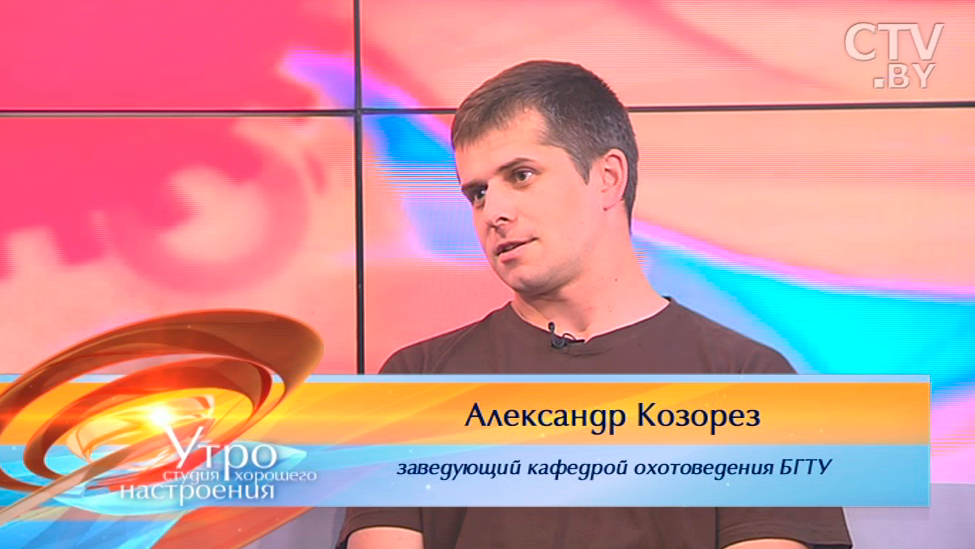 «Наиболее опасны лисы и енотовидные собаки»: что делать, если встретили дикое животное-1