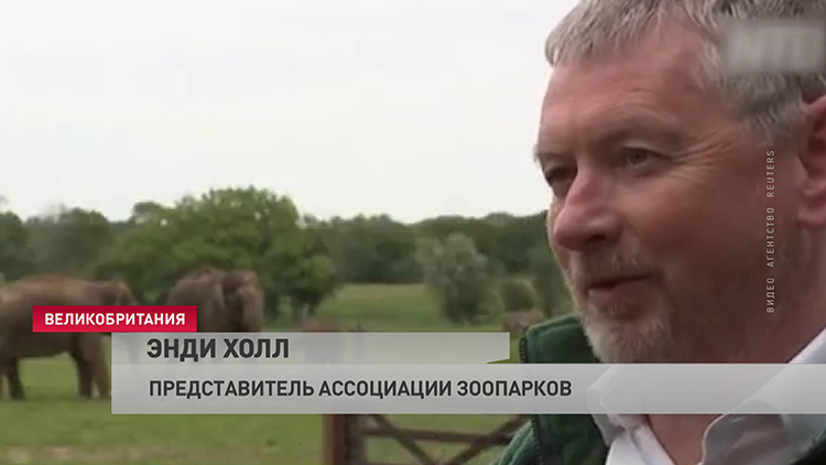 Учёные выяснили, как животные в зоопарке относятся к людям. Далеко не все радуются посетителям-1 Учёные выяснили, как животные в зоопарке относятся к людям. Далеко не все радуются посетителям-1