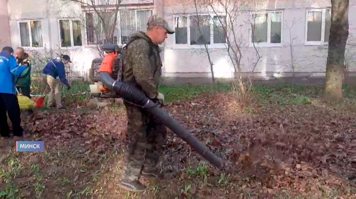 Листву не убирали с осени! Съёмочная группа СТВ смогла примирить ЖКХ с жильцами-19