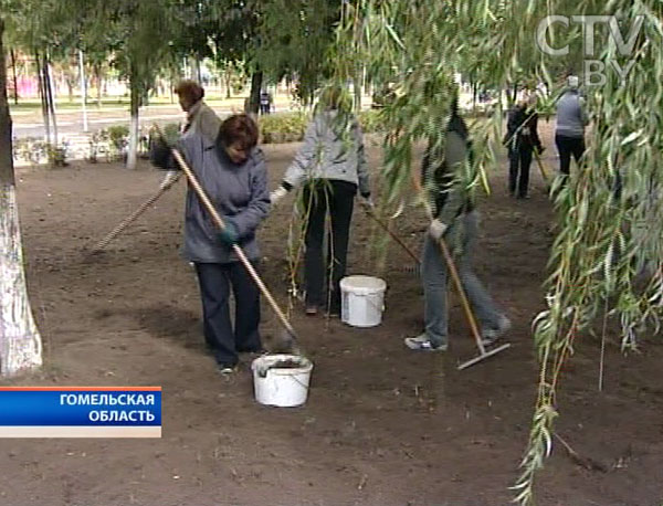 Дети купаются в лужах: очередной жертвой белорусских ливней стал Жлобин. Потоп в 7 фотографиях-1