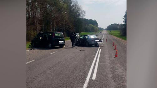 Лоб в лоб со встречным авто. В Волковысском районе произошла жуткая авария из-за косули