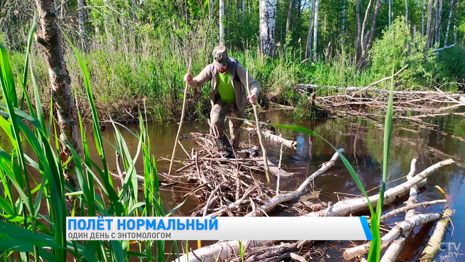 Знает всё о жизни насекомых. Поговорили с молодым энтомологом-10