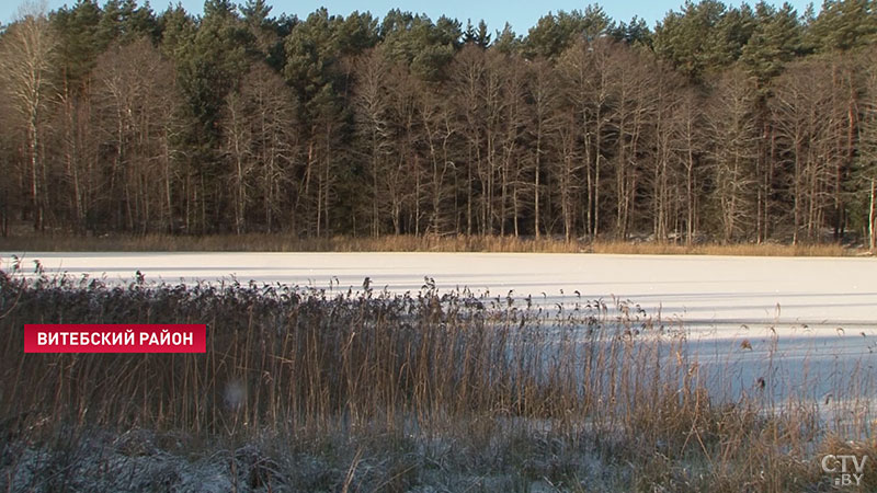 Зима на полотнах белорусских художников - Валерия Шкарубо и Антона Вырво