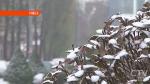 В Беларусь возвращается зима. Синоптики прогнозируют до - 7 градусов 16 марта