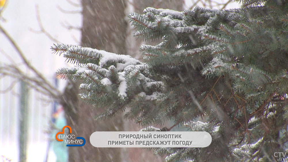 Как узнать, какой будет погода на Новый год? Вот точные приметы, которые предскажут морозный праздник-4