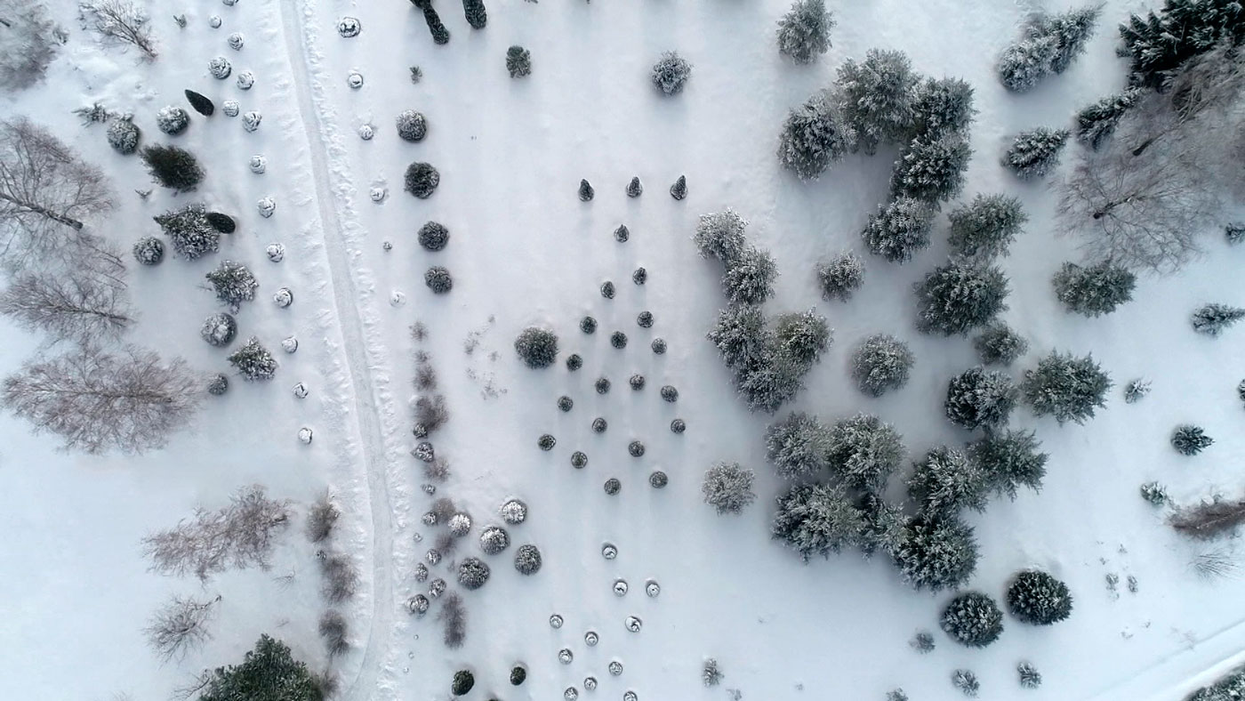 Рыбалка, фотоохота и много оленей! Как устроить себе настоящую зимнюю сказку?