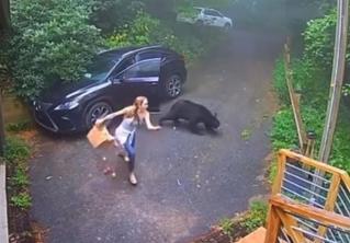 Знакомство не удалось. Как девушка встретилась в своей машине с медведем