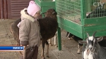 До конца недели минский зоопарк могут без билета посетить ученики 1-2 классов