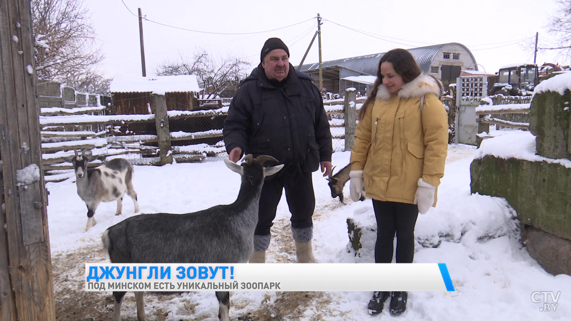 «К леопарду захожу с осторожностью, а вот волк может зализать до смерти». Белорус открыл необычный зоопарк-22