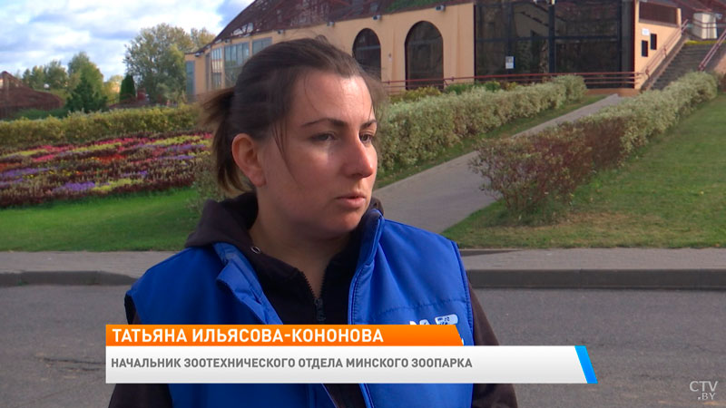 Примут любые дары природы. Рассказываем, как можно использовать излишки урожая-9 Примут любые дары природы. Рассказываем, как можно использовать излишки урожая-9