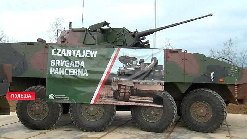 Польский военный грузовик насмерть сбил зубра недалеко от границы Беларуси