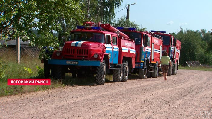 «Зять приезжает и косой косит». В Минской области продолжаются работы по уничтожению борщевика-4